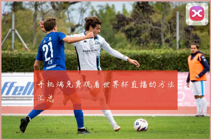 手机端免费观看世界杯直播的方法汇总