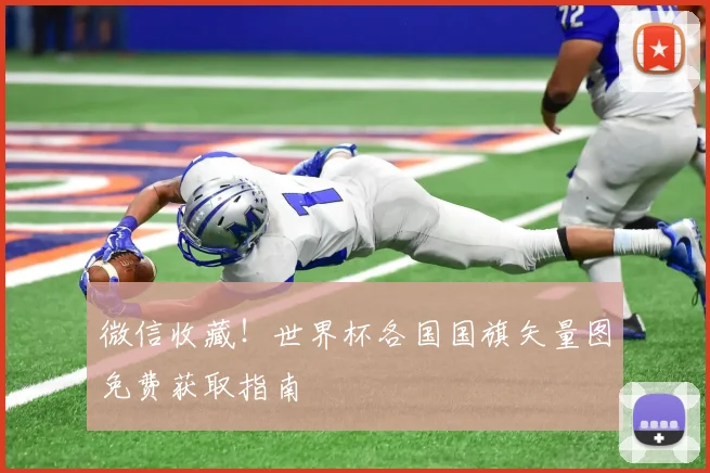 微信收藏!世界杯各国国旗矢量图免费获取指南