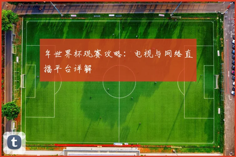 年世界杯观赛攻略:电视与网络直播平台详解