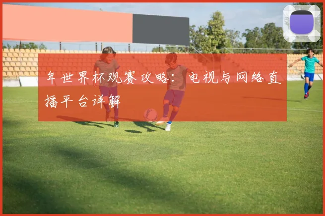 年世界杯观赛攻略:电视与网络直播平台详解