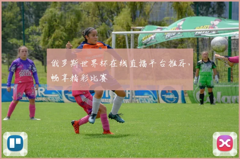 俄罗斯世界杯在线直播平台推荐，畅享精彩比赛