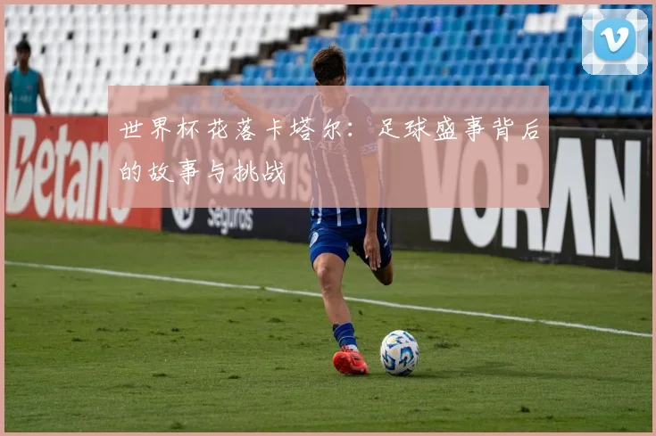 世界杯花落卡塔尔：足球盛事背后的故事与挑战