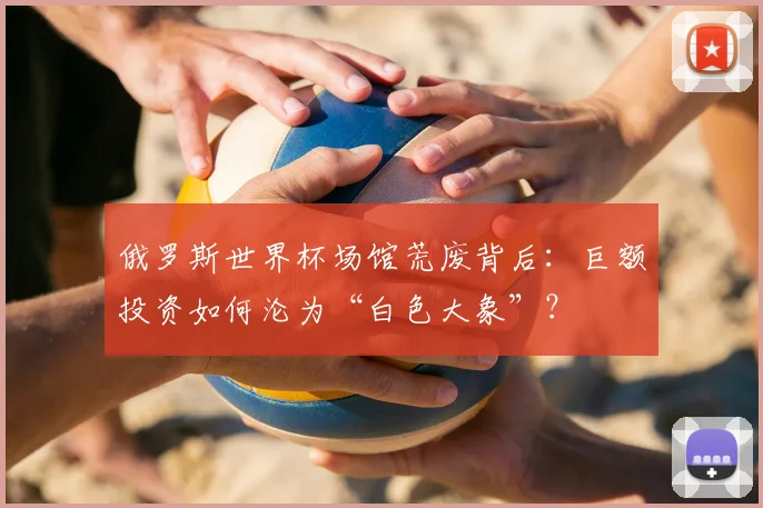俄罗斯世界杯场馆荒废背后：巨额投资如何沦为“白色大象”？