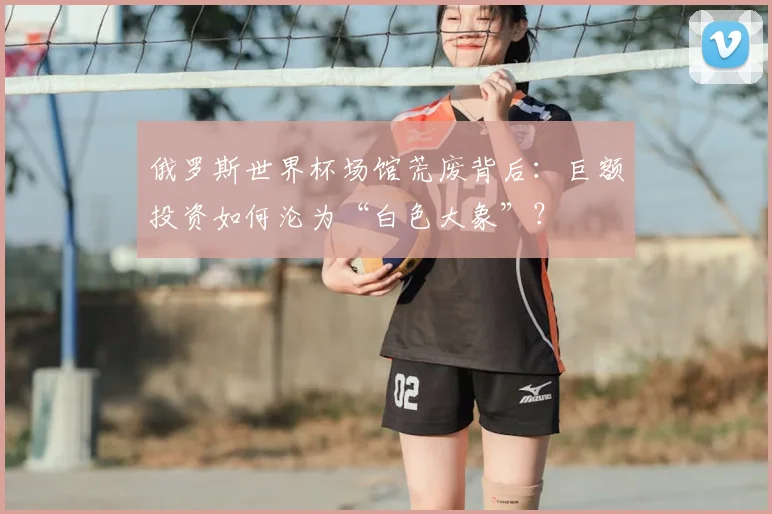 俄罗斯世界杯场馆荒废背后：巨额投资如何沦为“白色大象”？
