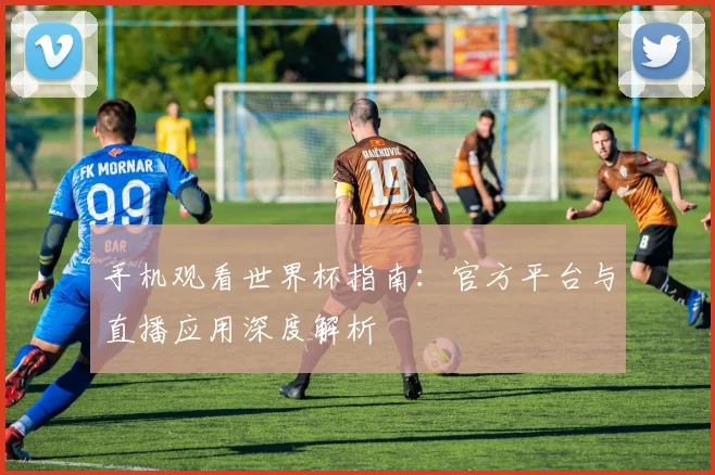 手机观看世界杯指南：官方平台与直播应用深度解析