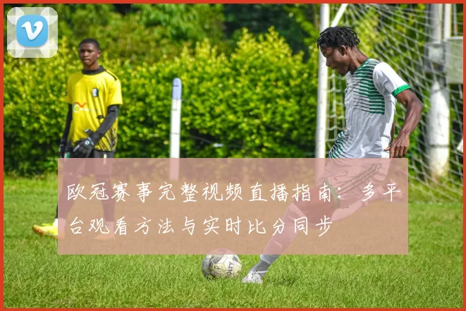 欧冠赛事完整视频直播指南：多平台观看方法与实时比分同步