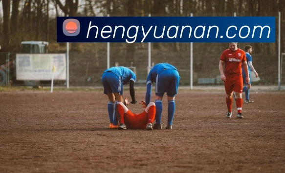 华体官网登录服务体系
